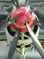 Fairey Gannet (Nose View)